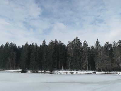 Stausee Großarmschlag im Winter, Winterwandern durch die Steinklamm Schneeschuhwandern im Bayerischen Wald