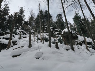 Steinklamm im Winter, Winterwandern durch die Steinklamm Schneeschuhwandern im Bayerischen Wald