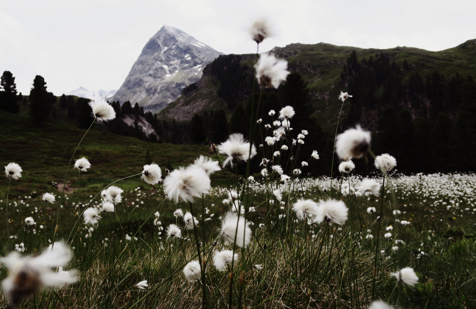 Blick zum Hangerer, Wanderung Hangerer, Bergwandern Ötztal, Wandertour Ötztal, Alpen, Tirol, Dreitausender
