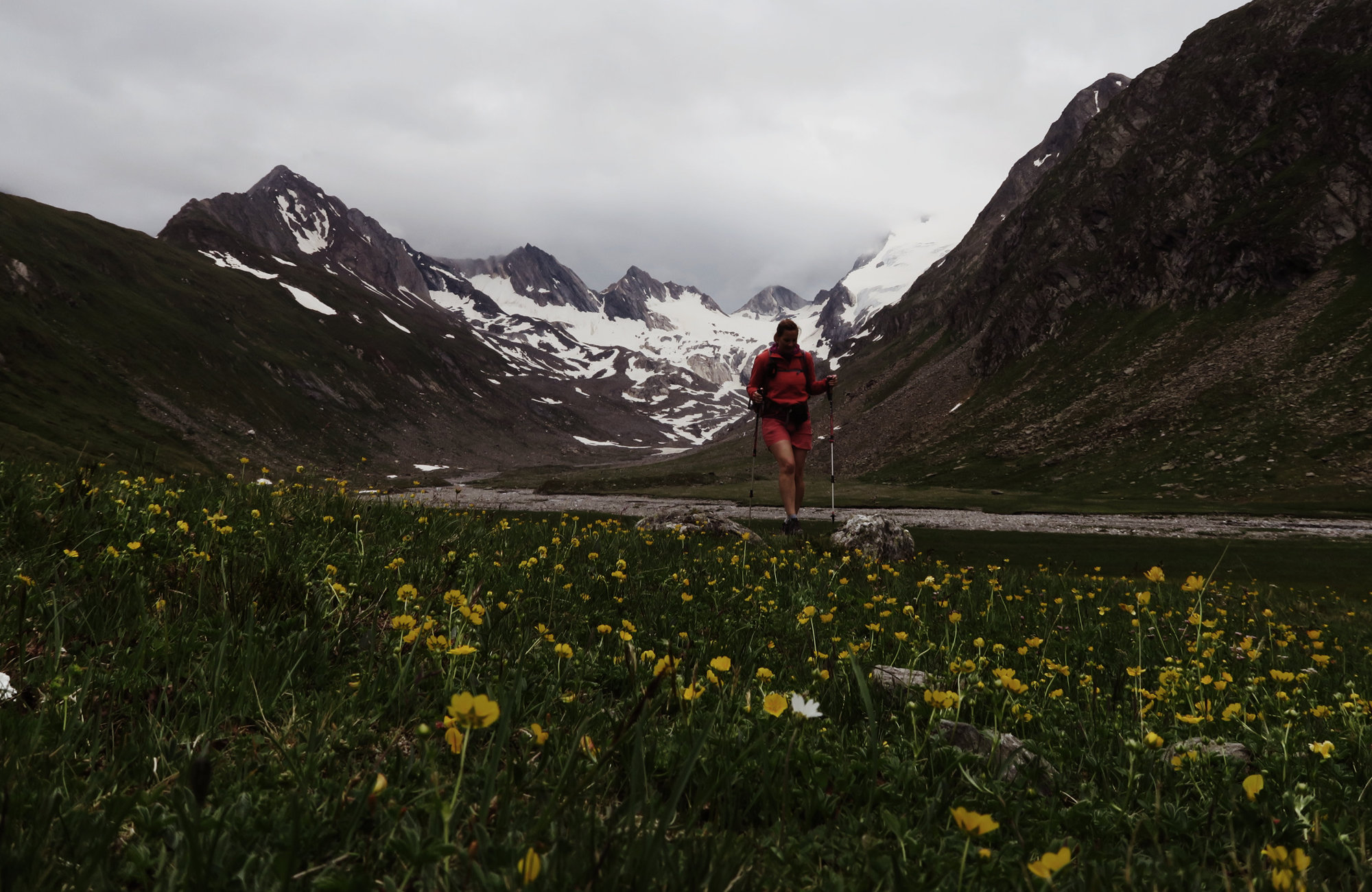 Durch Blumenfelder bis zum Rotmoosferner, Wandertour Rotmoosferner und Gaisbergtal, Wandern im Ötztal, Wandertour Ötztal, Alpen, Tirol, Gletscher