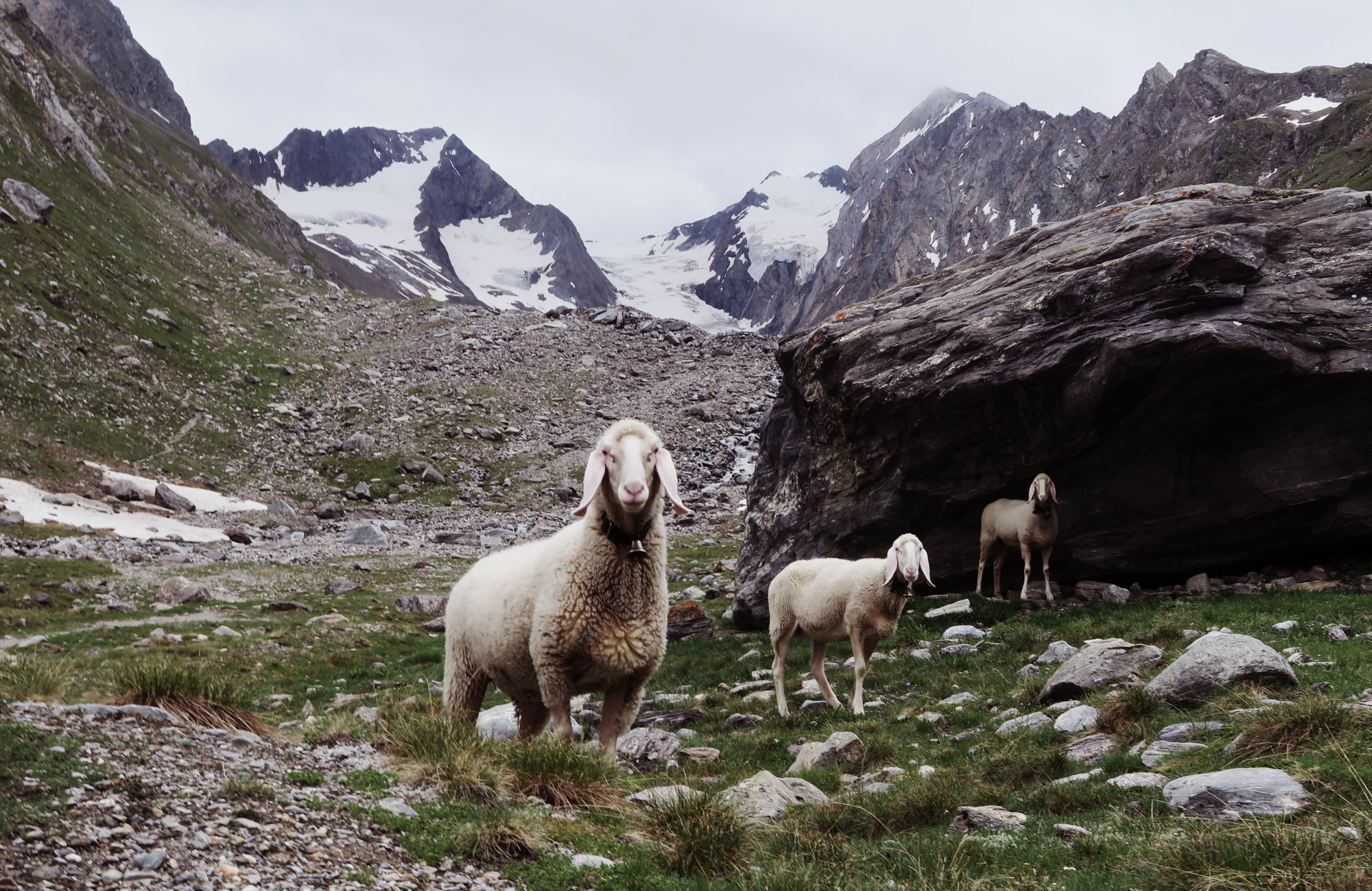 Wandern im Gaisbergtal, Wandertour Rotmoosferner und Gaisbergtal, Wandern im Ötztal, Wandertour Ötztal, Alpen, Tirol, Gletscher
