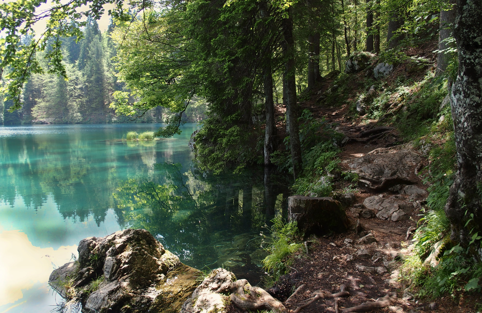 Wandern im Frühling auf dem Alpe Adria Trail, Wandern im Frühling, Wanderideen Frühling, Wanderungen Frühling, Weitwanderweg Frühling