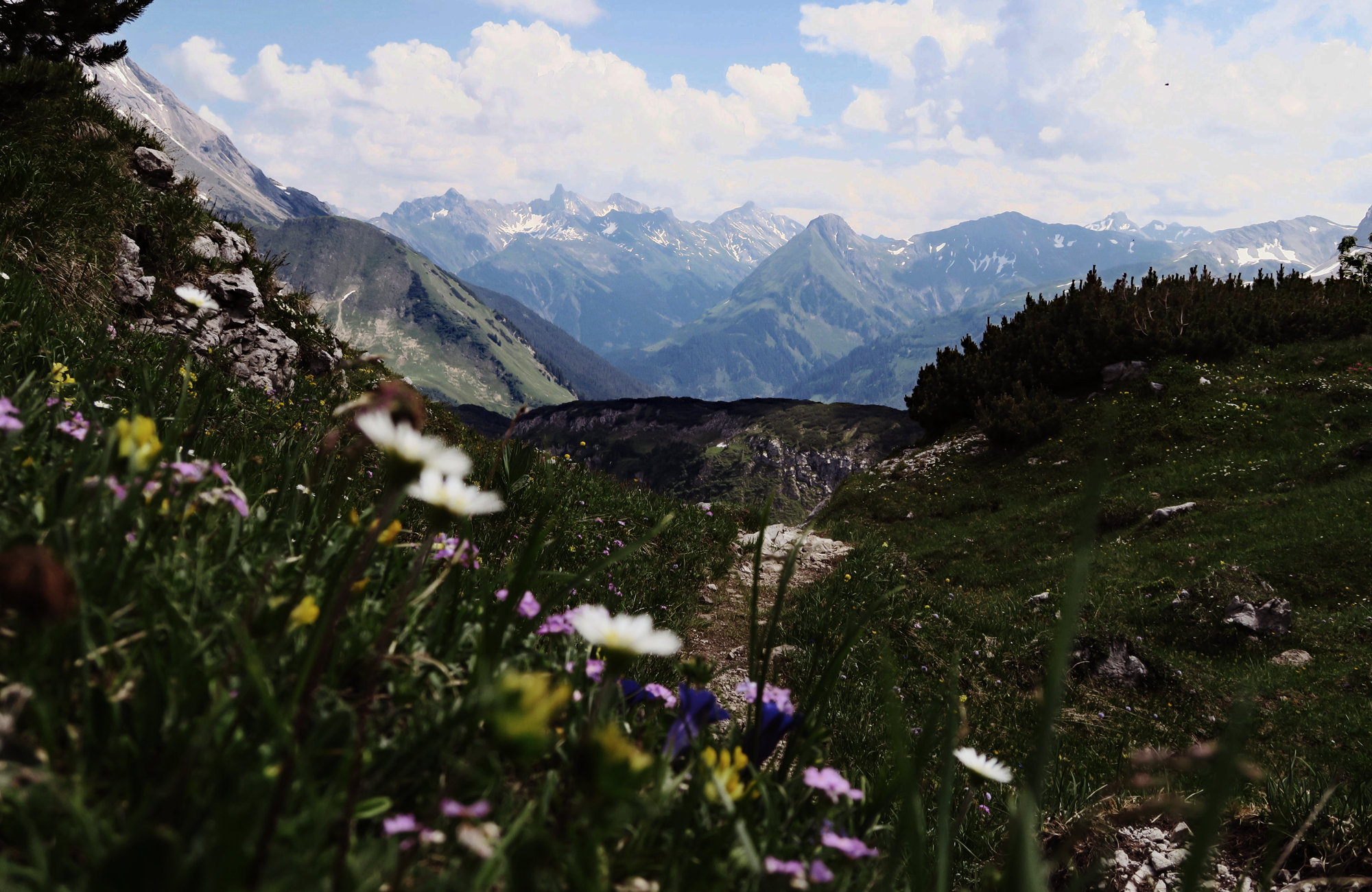 Blick auf die Lechtaler Alpen, Wandern im Frühling, Wanderideen Frühling, Wanderungen Frühling, Weitwanderweg Frühling