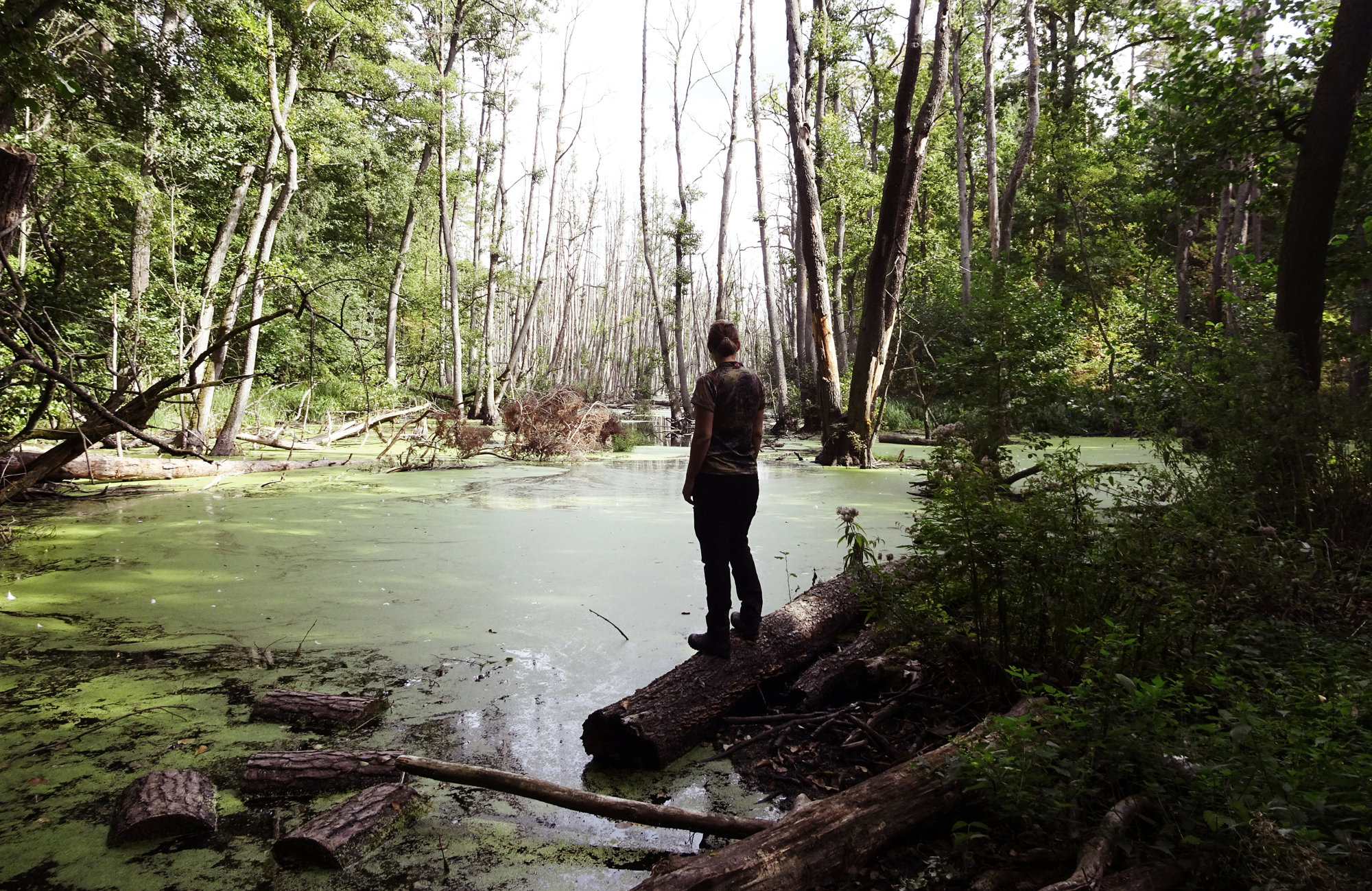 Wanderungen in Deutschland: Wandern in Brandenburg im Briesetal