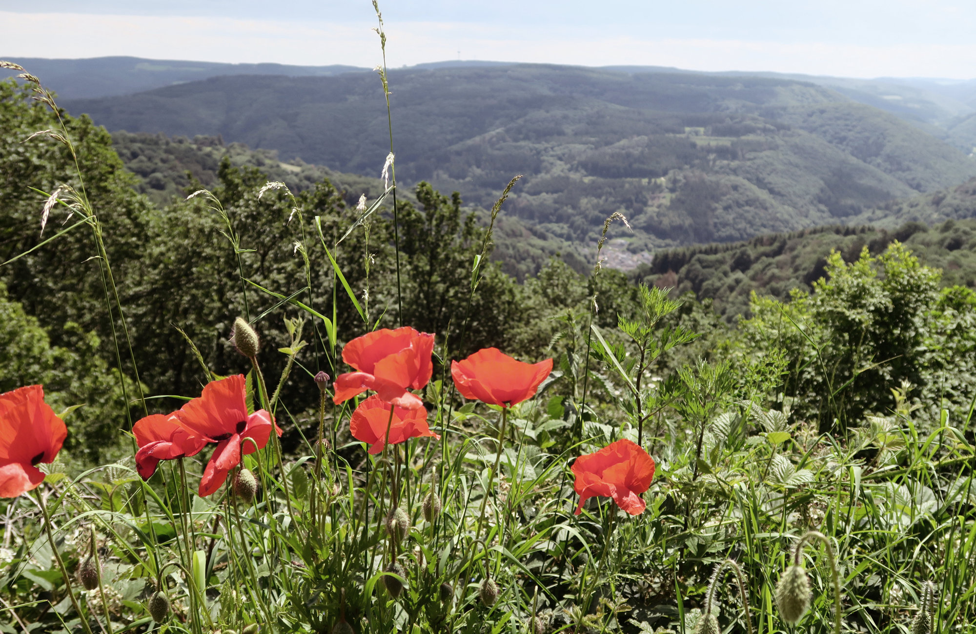 Wandern in Deutschland Ratgeber