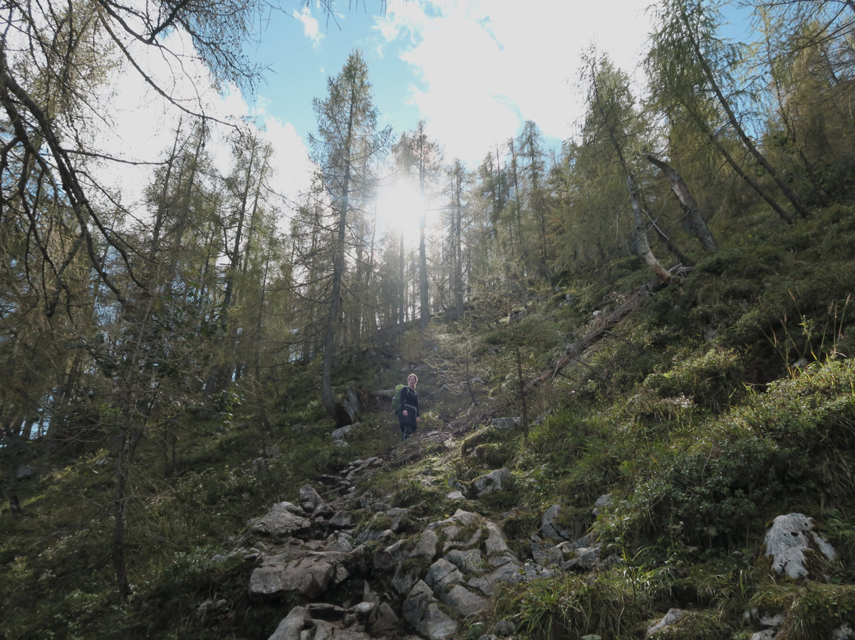 Aufstieg Mooslahnerkopf mit Herbstlicht