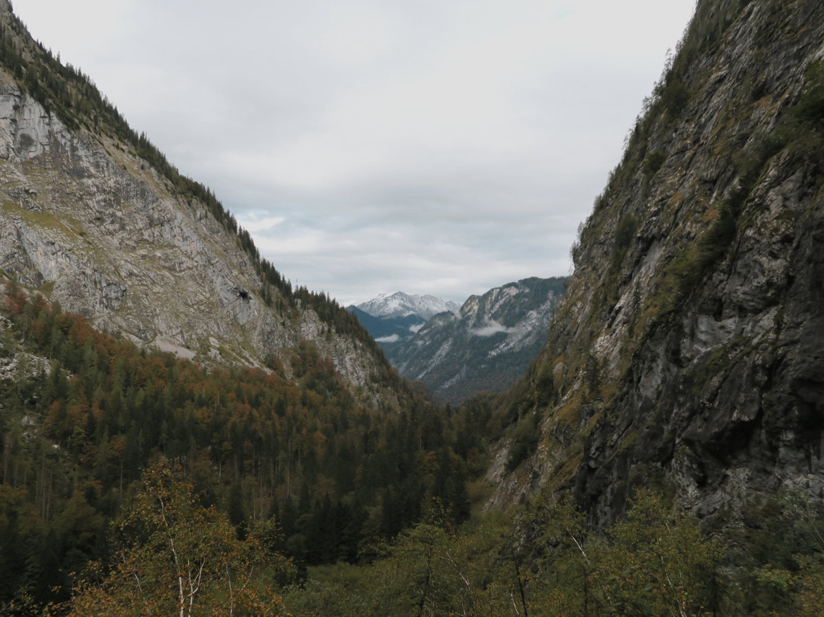 Unterwegs in der Saugasse