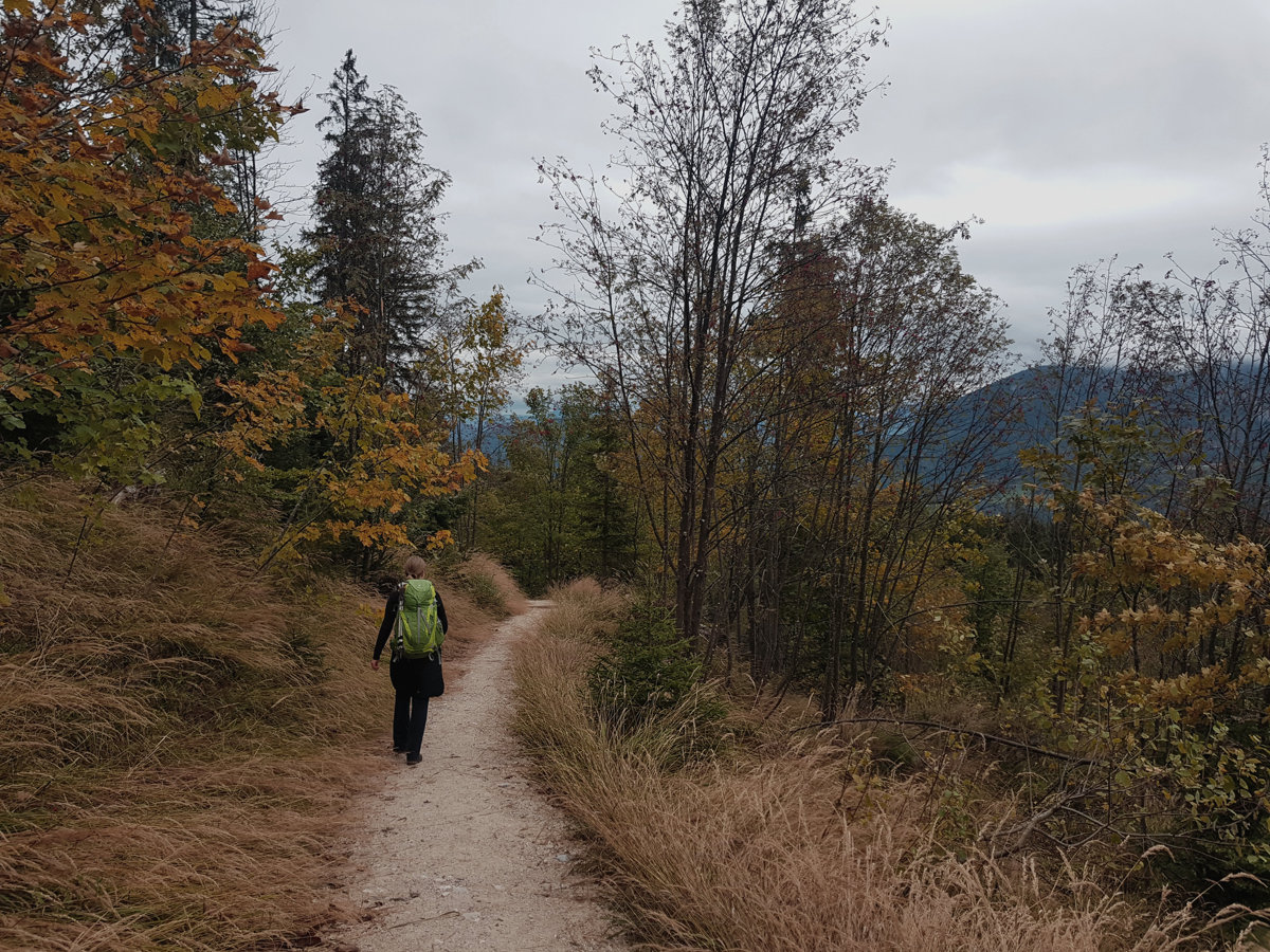 Abstieg nach Schönau im Herbst bei Nebel