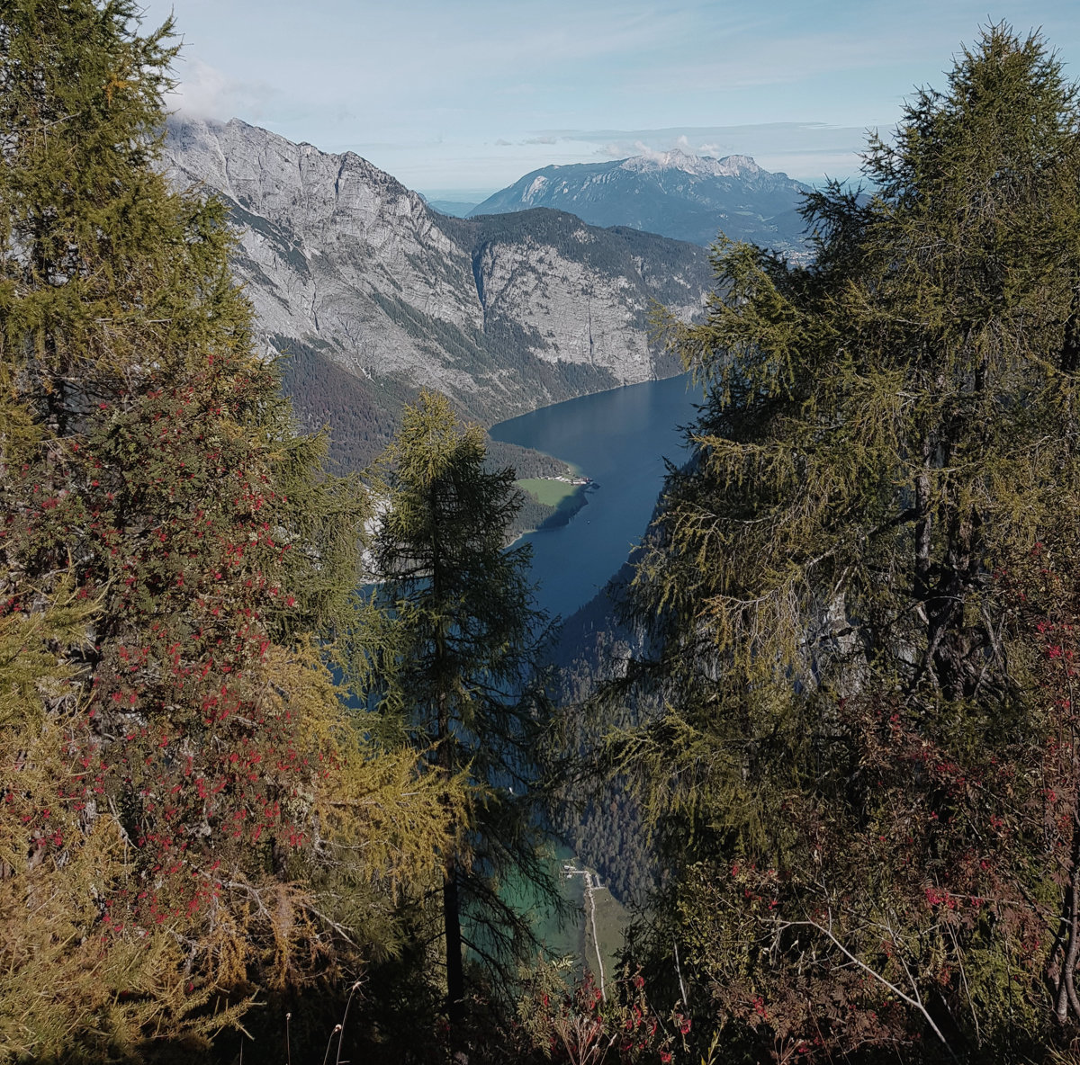 Grandioser Ausblick vom Halsköpfl auf den Königssee