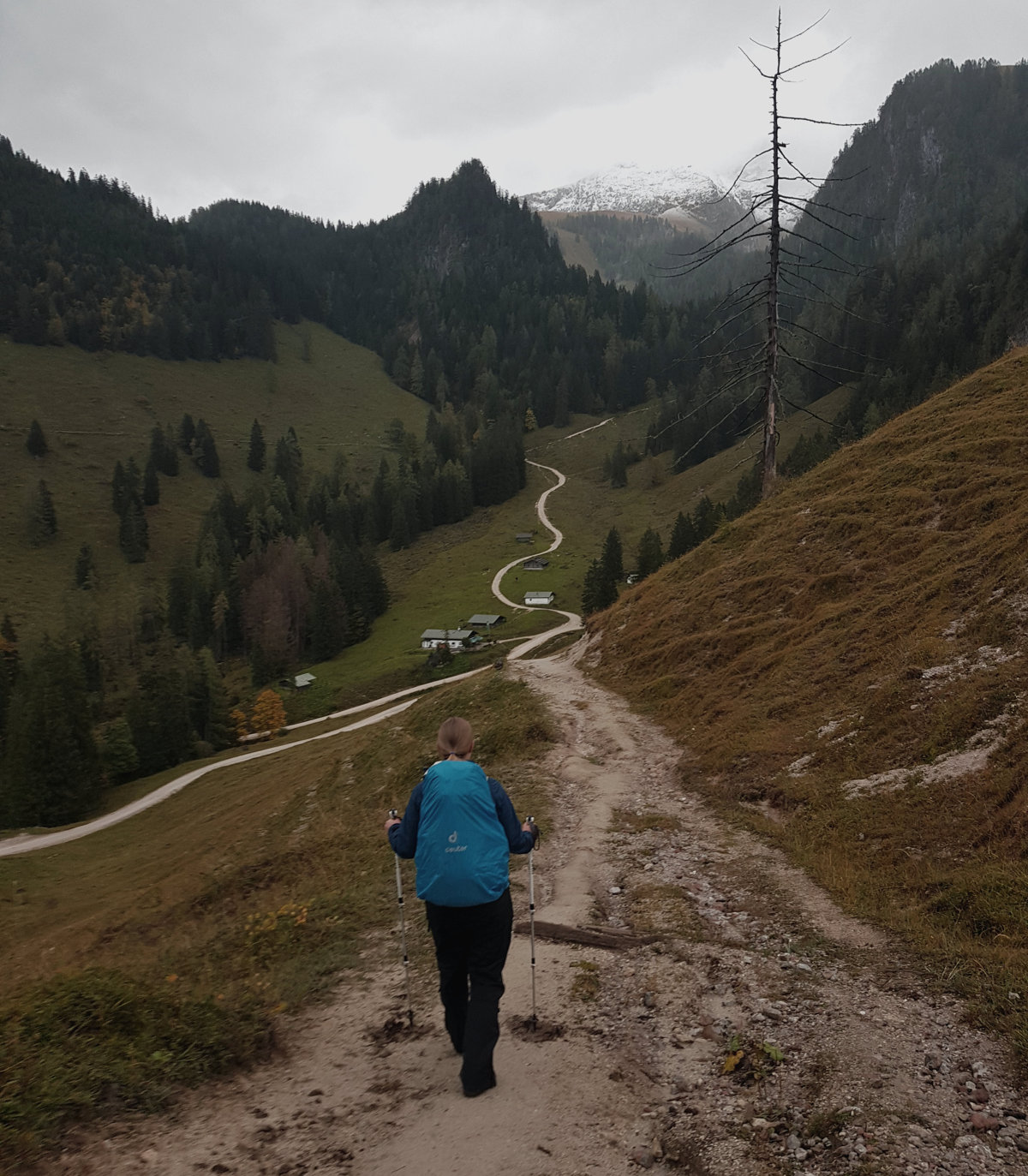 Abstieg nach Schönau