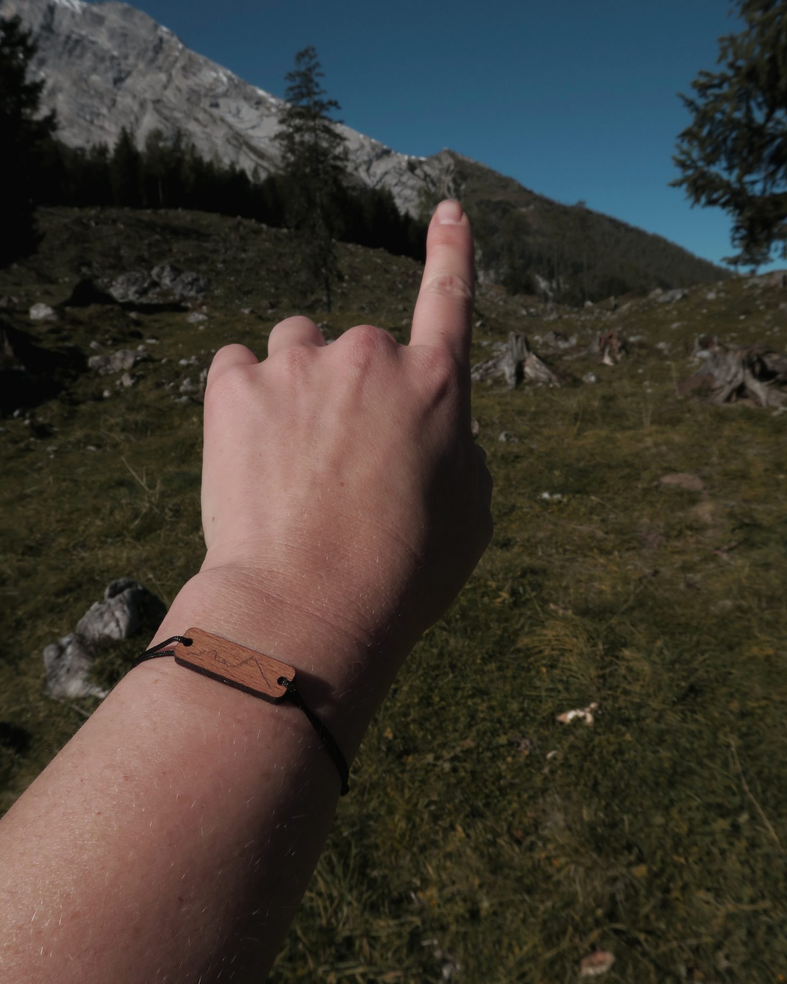 Dort oben ist das Watzmannhaus