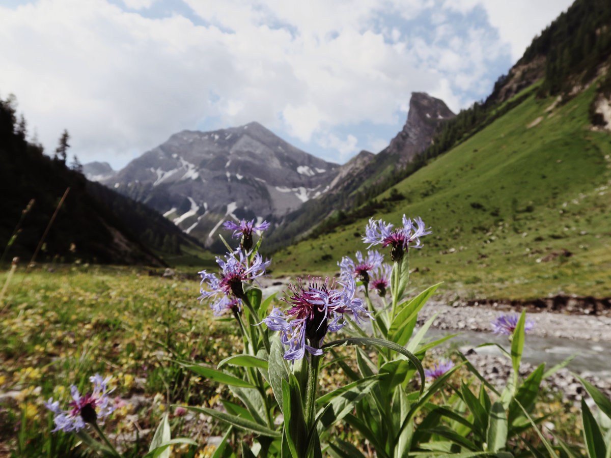 Kaiserbach und Gfällspitze