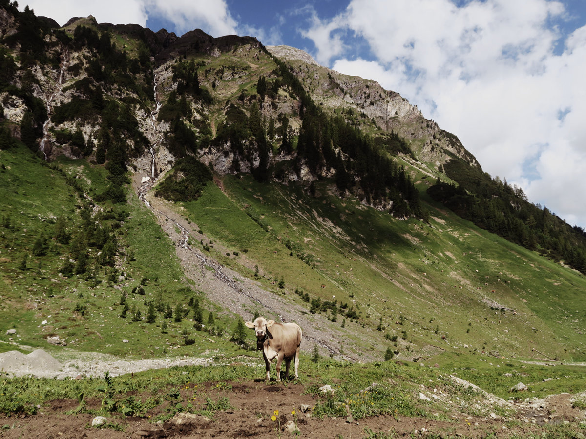 Wanderung Kaisers Grießkopf Tirol Österreich Lechtal