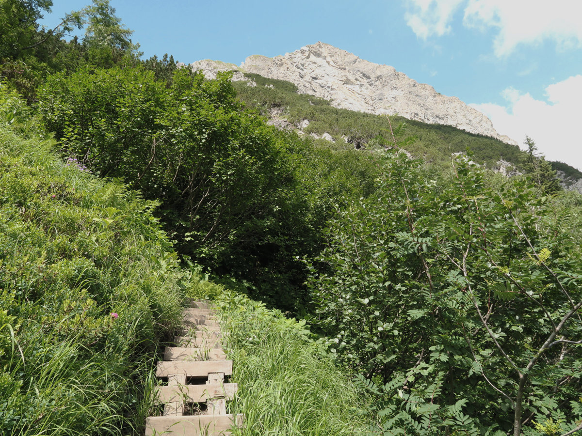 Holzleitern auf der Wanderung zum Kaiserjoch