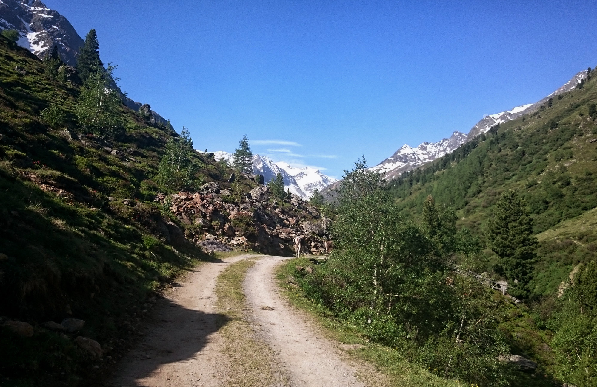 Österreich Wanderungen Pitztal Taschachhaus