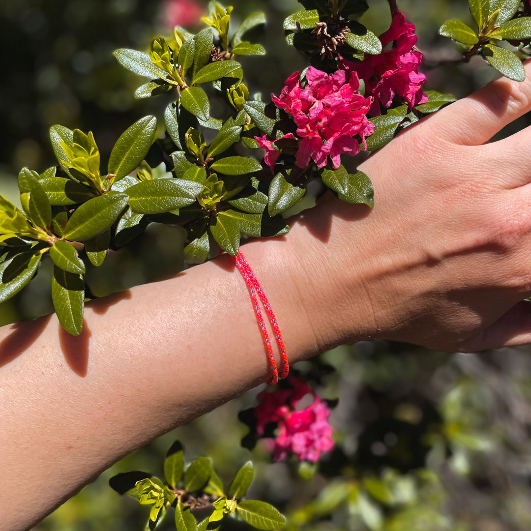 Alpenbänder Südtirol Göden 2022-17 Webseite Alpenbänder Südtirol Göden 2022-17 Webseite