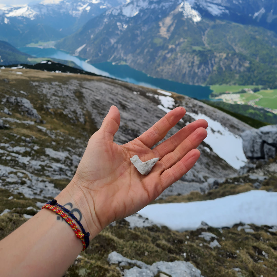 Alpenbänder bearbeitet Bianca aus Tirol Quadratisch Alpenbänder bearbeitet Bianca aus Tirol Quadratisch