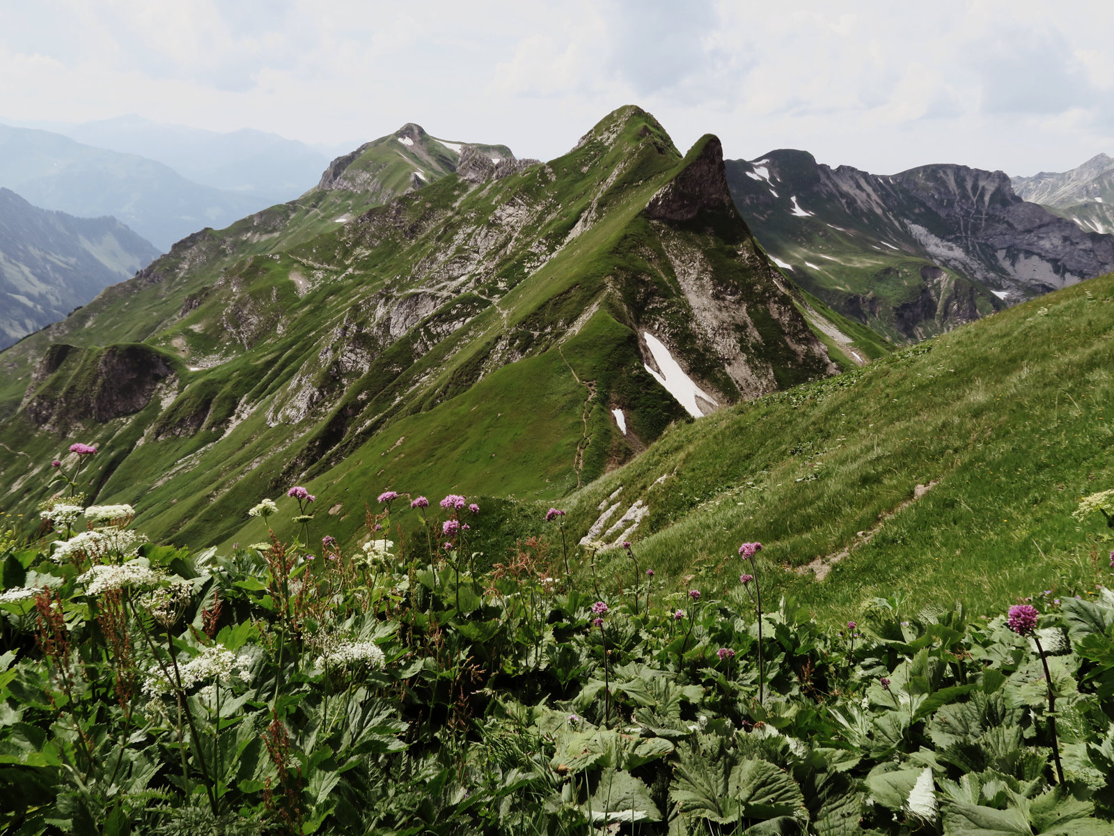 Blick zurück auf den Panoramaweg vom Edmund-Probst-Haus zum Laufbacher Eck